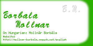 borbala mollnar business card
